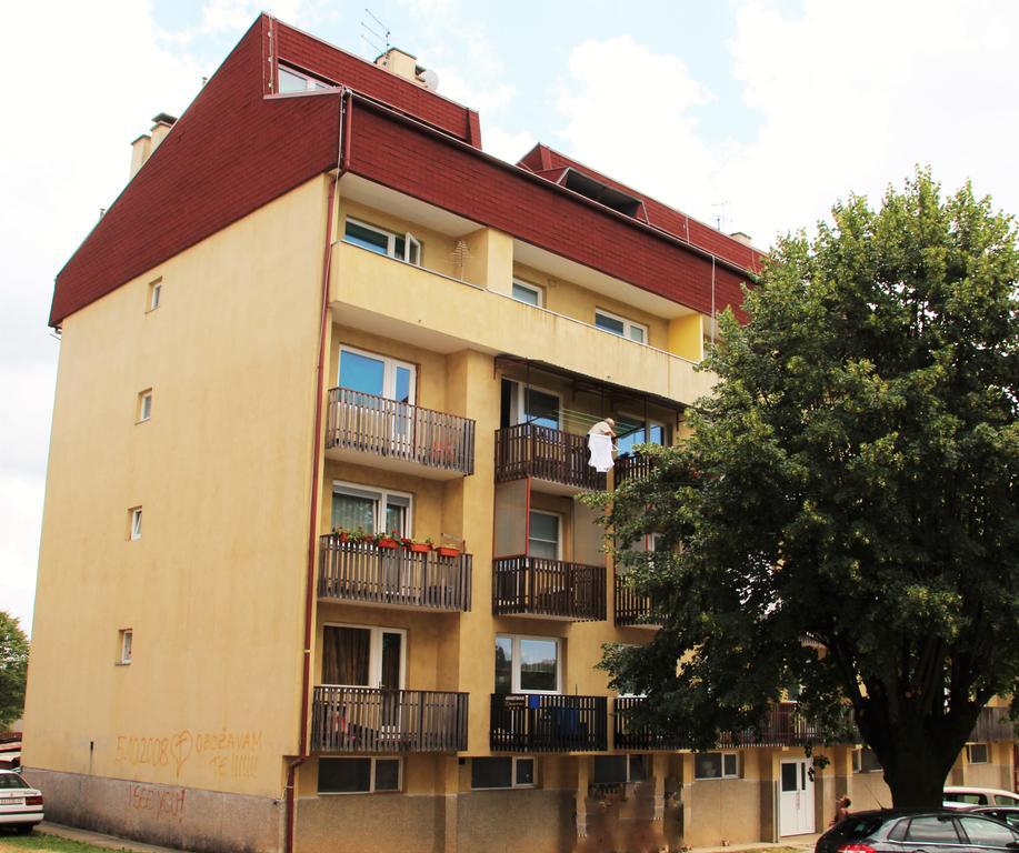 Apartman Drenovac 슬루니 외부 사진