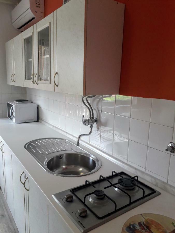 Apartman Drenovac 슬루니 외부 사진