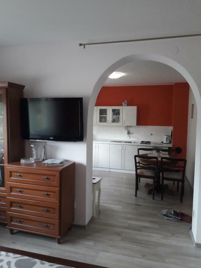 Apartman Drenovac 슬루니 외부 사진