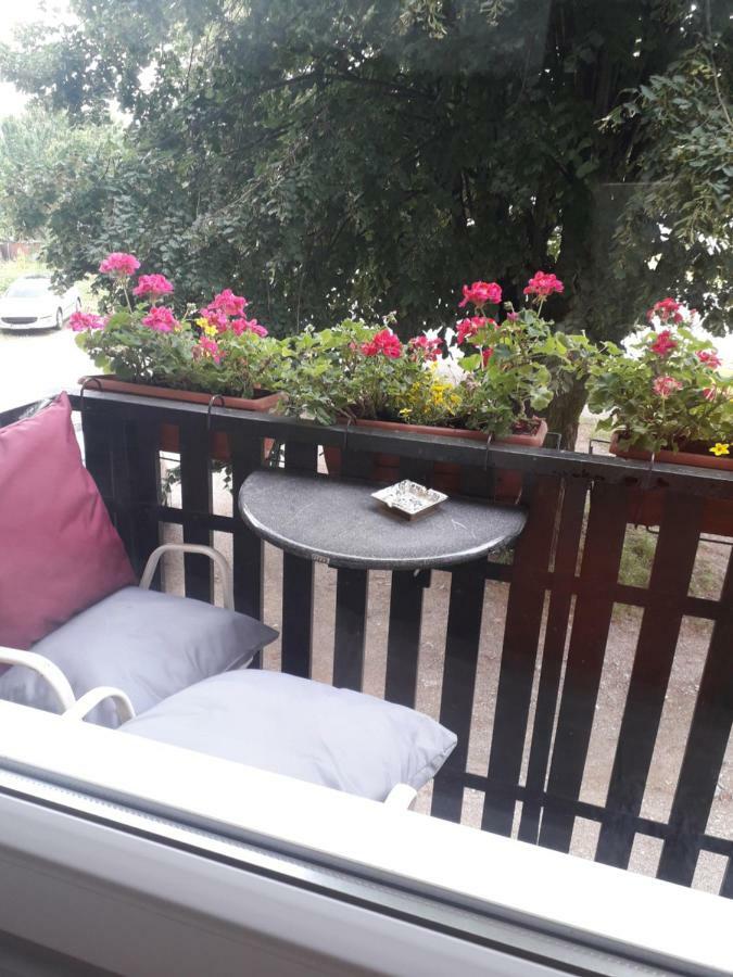 Apartman Drenovac 슬루니 외부 사진